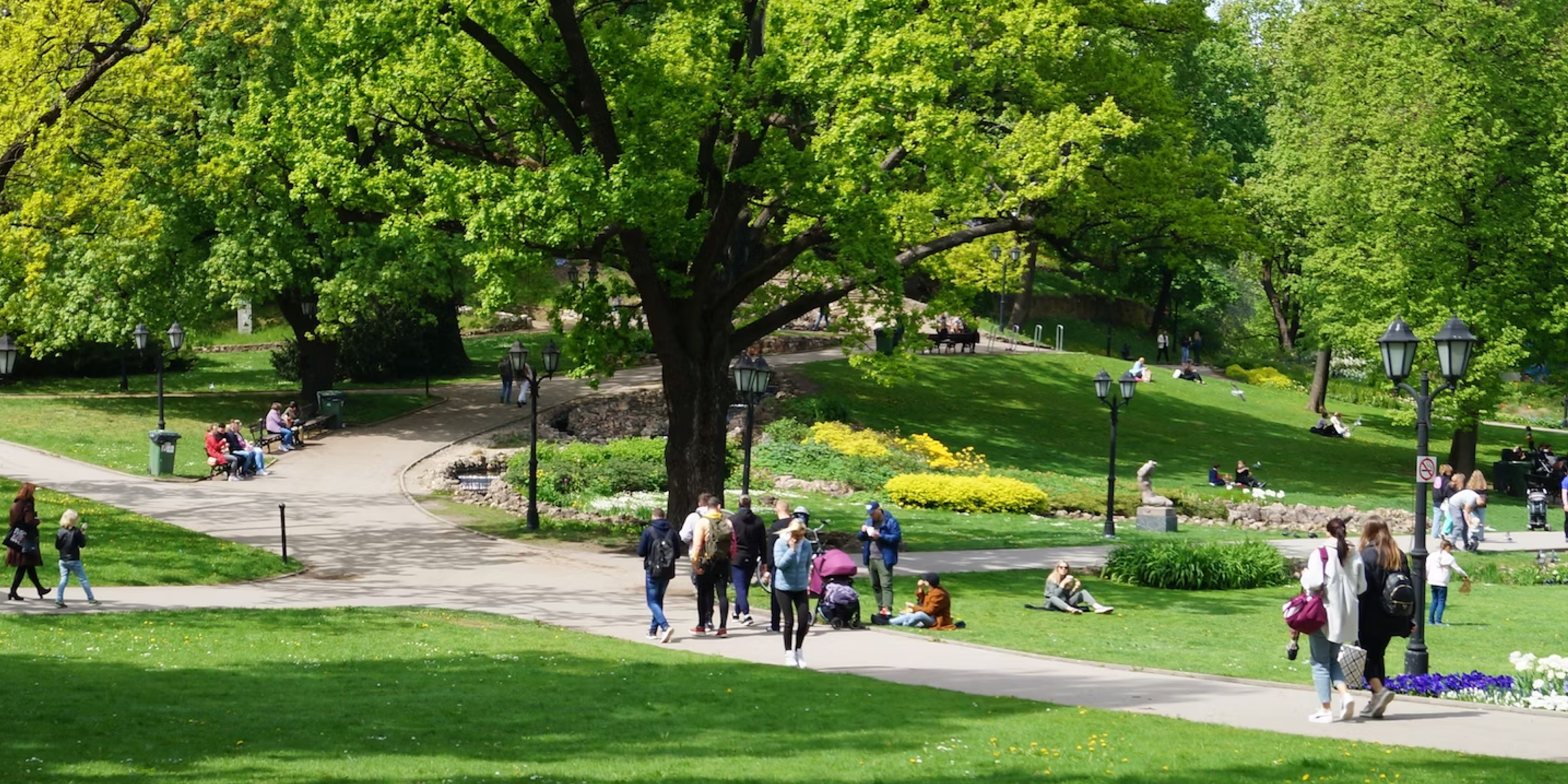 Green Spaces in Urban Areas: The Key to Resilient Cities